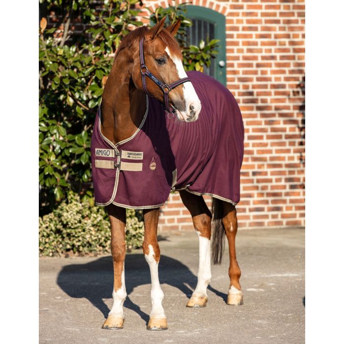Horseware Amigo tallitekk 145cm