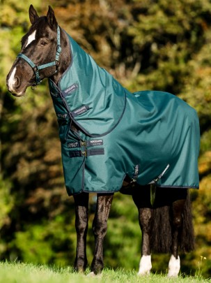 Amigo õuetekk 900 Plus 200, värvus Dynasty Green