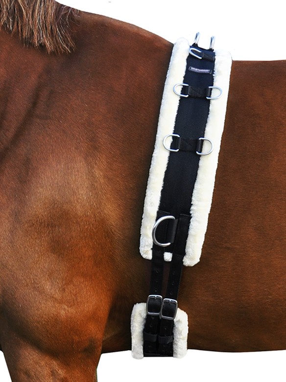 Vantaggio treeningrihm – lunging girth